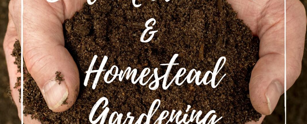 Soil Microbiome & Homestead Gardening
