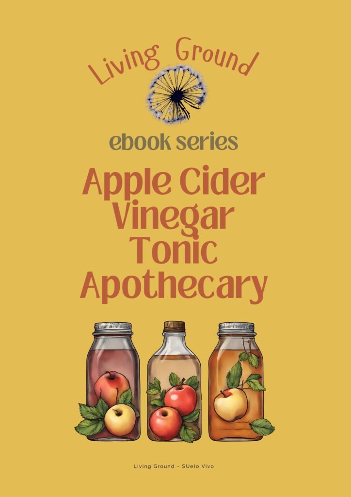 Apple Cider Vinegar Tonic Apothecary