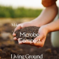 Guide To Making Microbe Compost