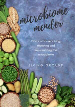Microbiome Mending Protocol (Bonus, Self Assessment Test)