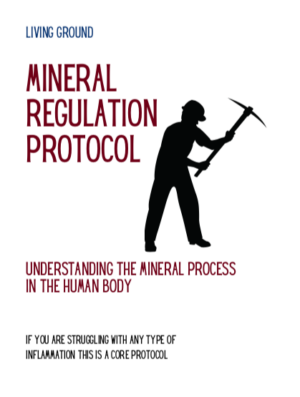 Mineral Regulation Protocol